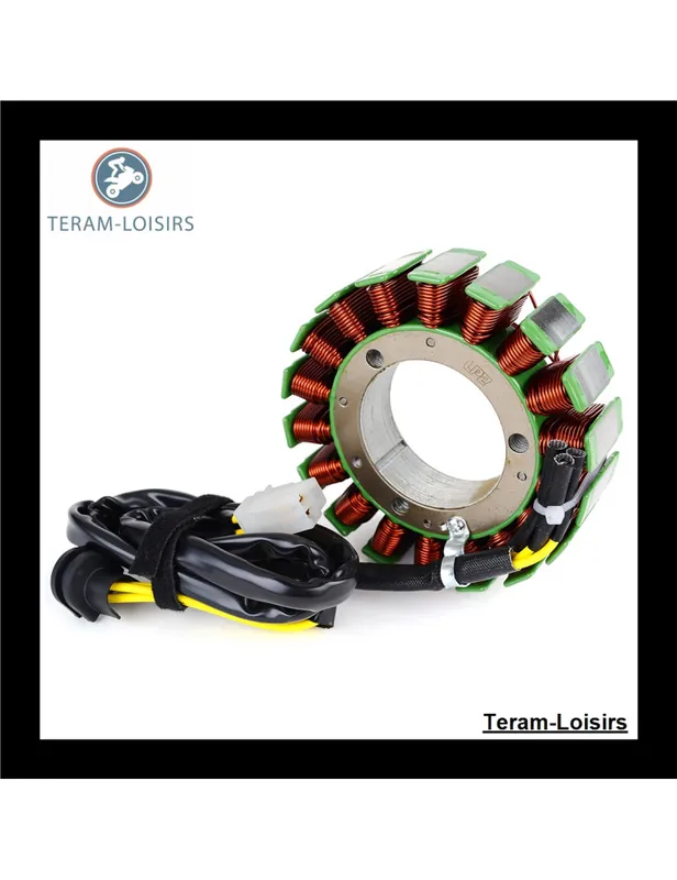 Vente Flash Stator pour Triumph Speedmaster 900 de 2006 2007 2008 2009 2010 2011 2012 2013 2014 2015 2016