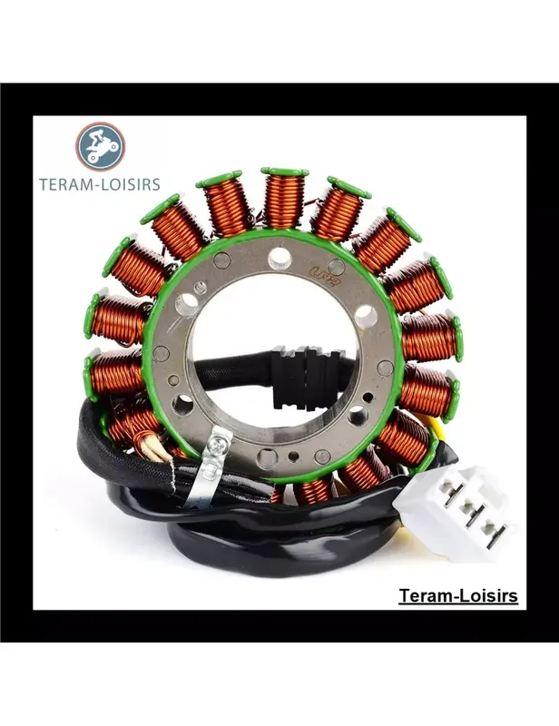 Stator pour Gilera 58183R Produit De Marque