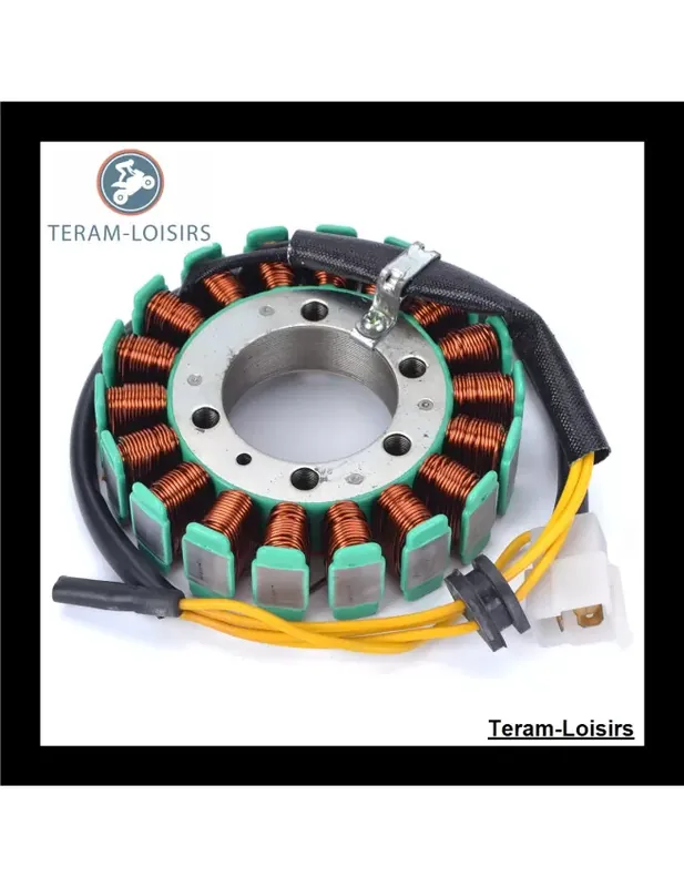 Meilleur Choix Stator Alternateur pour Honda CN 250 HELIX de 1986 1987 1988 1989 1990 2000 2001 2002 2003 2004 2005 2006 2007