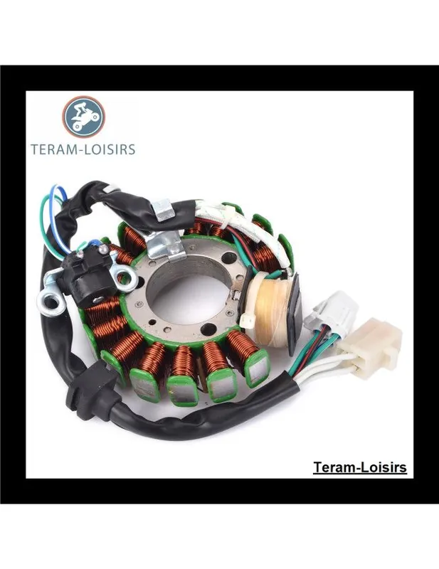 Commande En Gros Stator Alternateur pour Yamaha YP 150 MAJESTY de 2001 2002