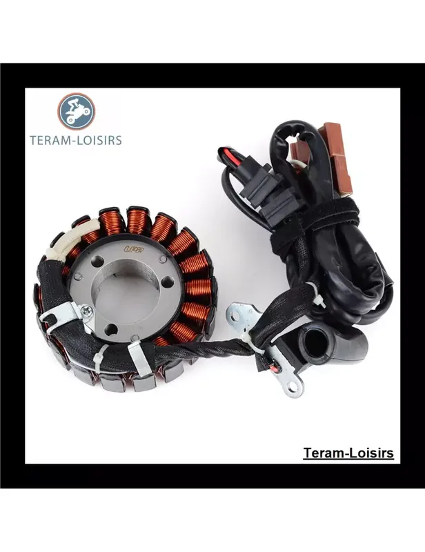 Prix Cassé Stator pour Malaguti Madison 3 250 de 2008 2009 2010 2011 2012