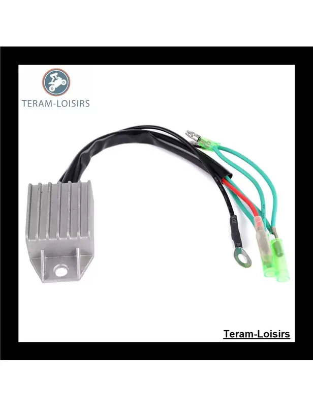 Régulateur Tension pour Yamaha 9.9F MHS MHL MHS / L de 1995 1996 1997 1998 1999 2000 2001 2002 2003 2004 à 2017 Promotion