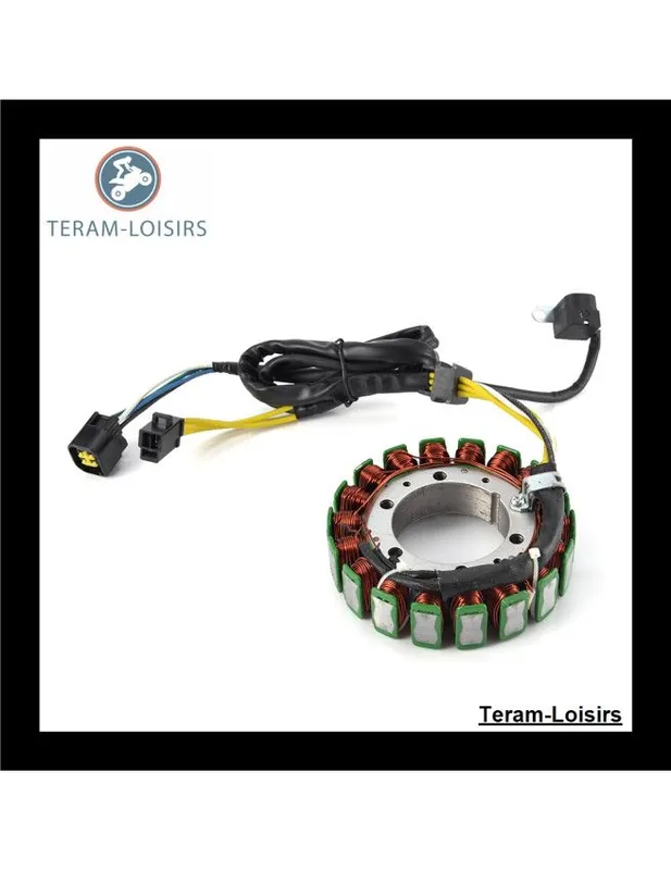 Commande En Gros Stator Alternateur pour Suzuki DR 650 de 1996 1997 1998 1999 2000 2001 2002 2003 2004 2005 2006 2007 2008 2009 2010 2011 à 2016