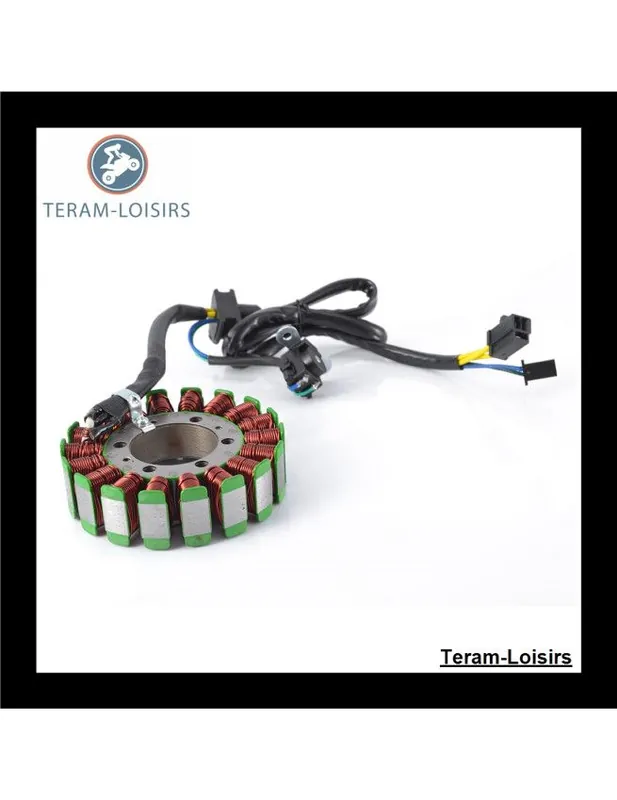 Stator Alternateur pour Suzuki AN 250 Burgman de 2003 2004 2005 2006 Top Vente