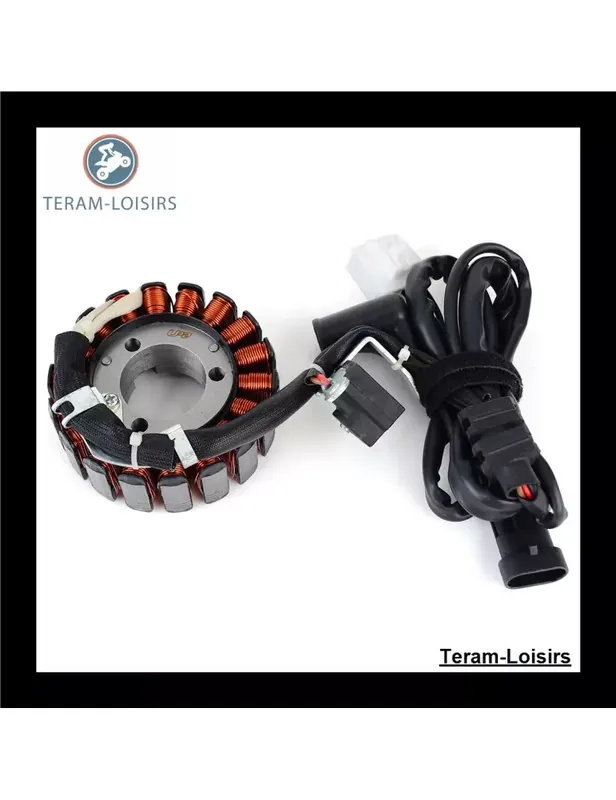 Super Prix Stator pour Piaggio MP3 125 de 2009 2010 2011 2012 2013