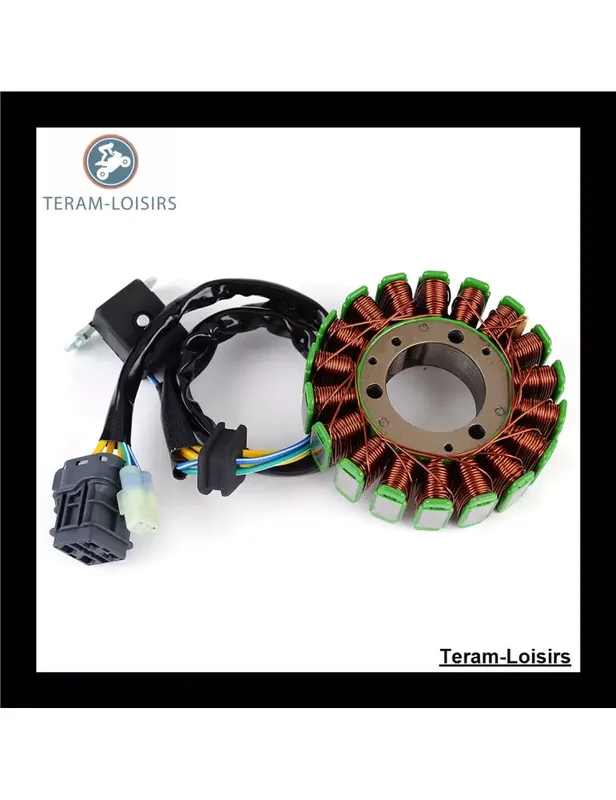 Stator pour Arctic Cat DVX 250 de 2006 2007 2008 Meilleure Vente
