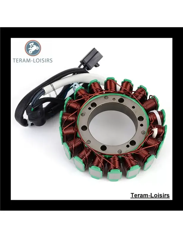 Retour Gratuit Stator pour Arctic Cat ATV 700 H1 / EFI / GT de 2008 2009 2010 2011 2012