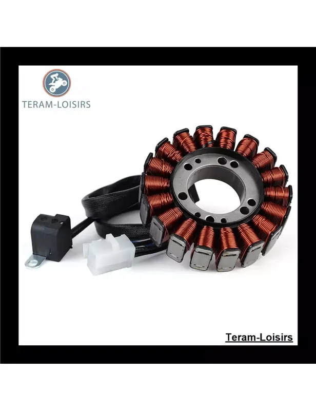 Stator pour Aprilia RXV 550 de 2006 2007 2008 2009 2010 2011 Acheter Direct
