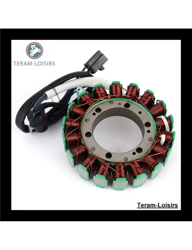 Stator pour Arctic Cat Thundercat 1000 de 2008 2009 2010 Soldes