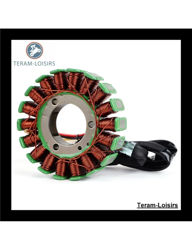 Offre Du Jour Stator pour KTM 450 Rallye à partir de 2005