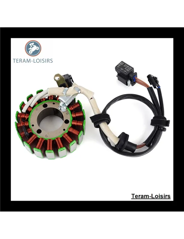 Top Vente Stator pour BMW G 310 / G 310 GS K02 de 2016 2017 2018 2019 2020