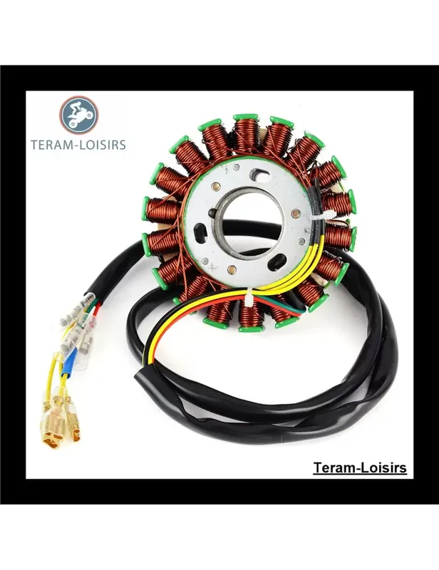 Nouveauté Stator pour Husaberg RM01192-R00
