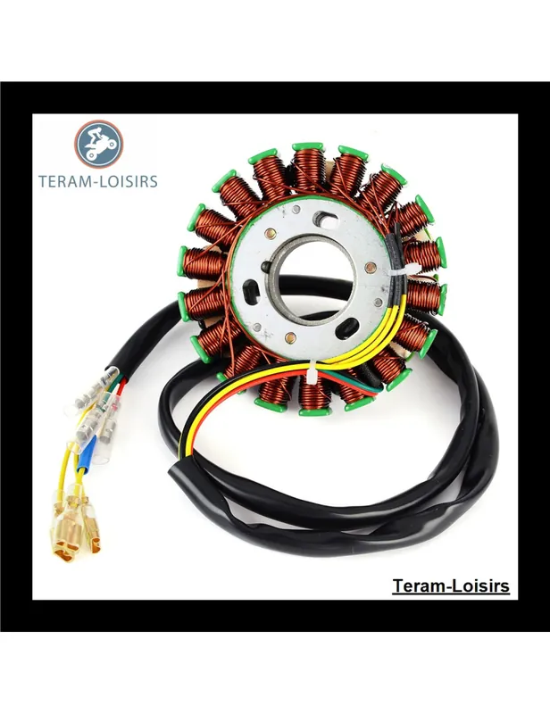 Stator pour Husaberg 499 C de 1992 1993 Vente Directe
