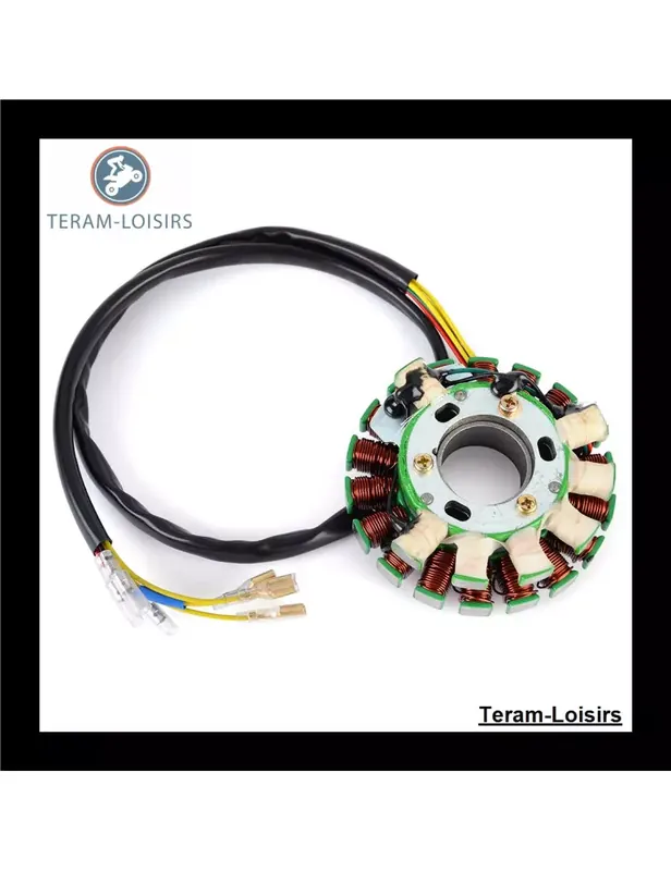 Stator pour Husaberg FX 501 E à partir de 1999 Dernière Chance
