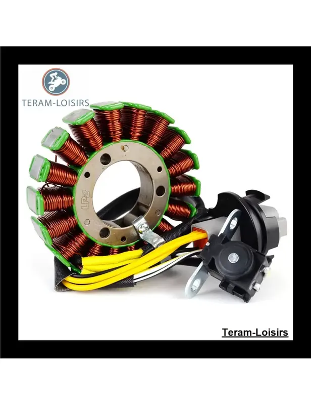 Stator pour Sea-Doo GTX de 2000 2001 2002 Solde