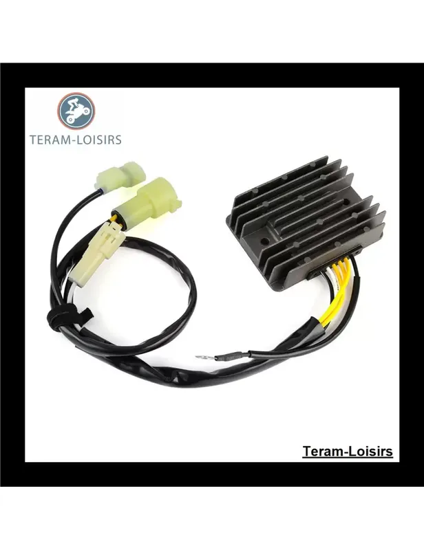 Régulateur Tension pour Honda 31750-ZW1-003 Acheter En Ligne