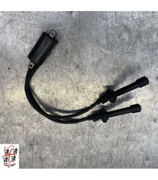 Bobine allumage YAMAHA T-MAX 530 - 2015 Petit Prix