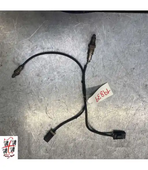 sonda lambda BMW f900r - 2022 Soldes