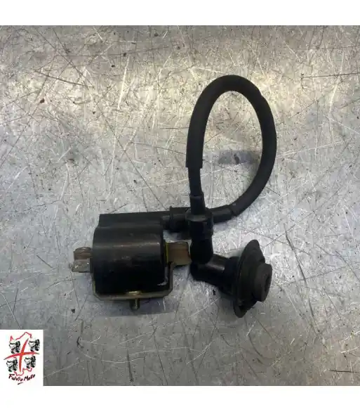 Haute Qualité Bobine allumage PEUGEOT KISBEE 50 - 2019