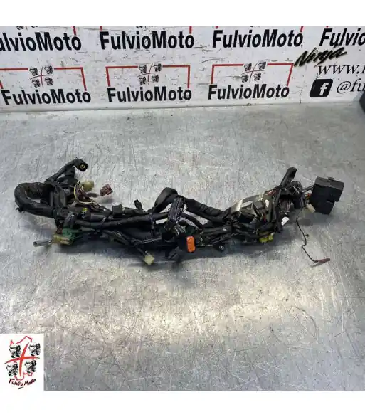 Faisceau électrique SUZUKI SV 650 - 2008 Bon Plan