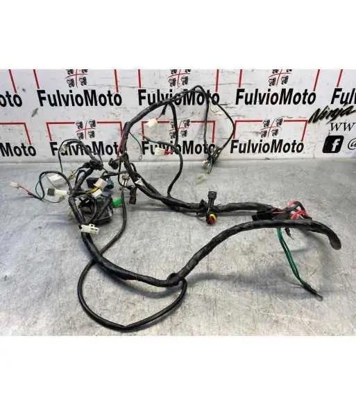 Faisceau électrique PEUGEOT KISBEE 50 – 2018 Prix Cassé