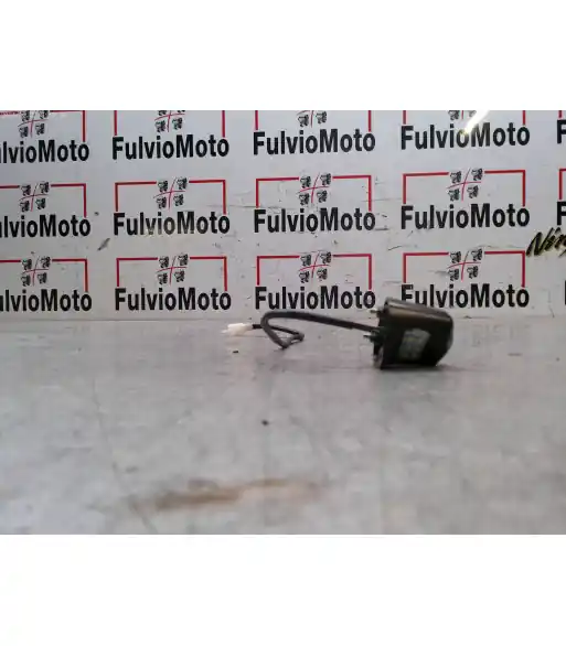 Eclairage de plaque d'immatriculation TNT halo – 2022 Nouvelle Collection