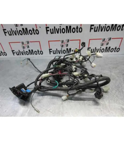 Faisceau électrique ORCAL NK 01 125 – 2019 Prix Choc
