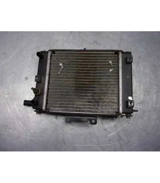 Prix Réduit Radiateur d'eau – KYMCO GRAND DINK 250 – 2005