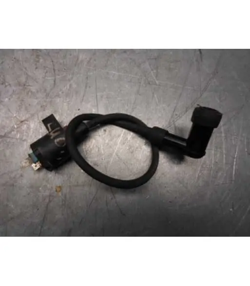 Bobine allumage – PEUGEOT LUDIX 50 – 2012 Prix Cassé