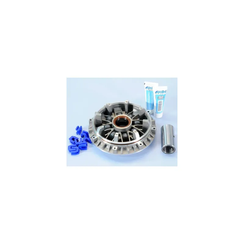 Variateur Polini Speed-Control pour TMAX 500 01-03 Prix Bas