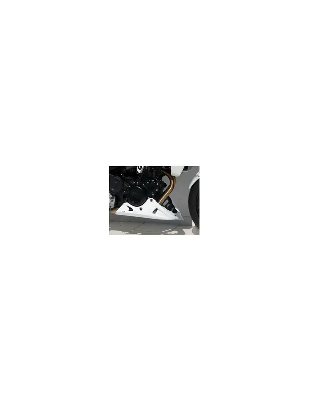 Produit De Marque Sabot moteur EVO ERMAX BMW F 800 R 09-14
