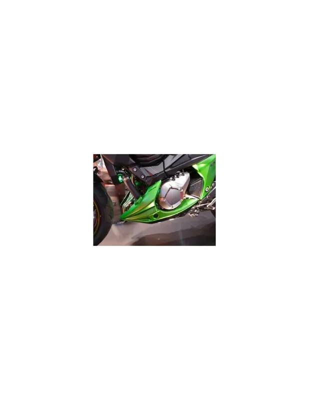 Nouvelle Collection Sabot moteur ERMAX Kawasaki Z 800 / Z800 E 13-16