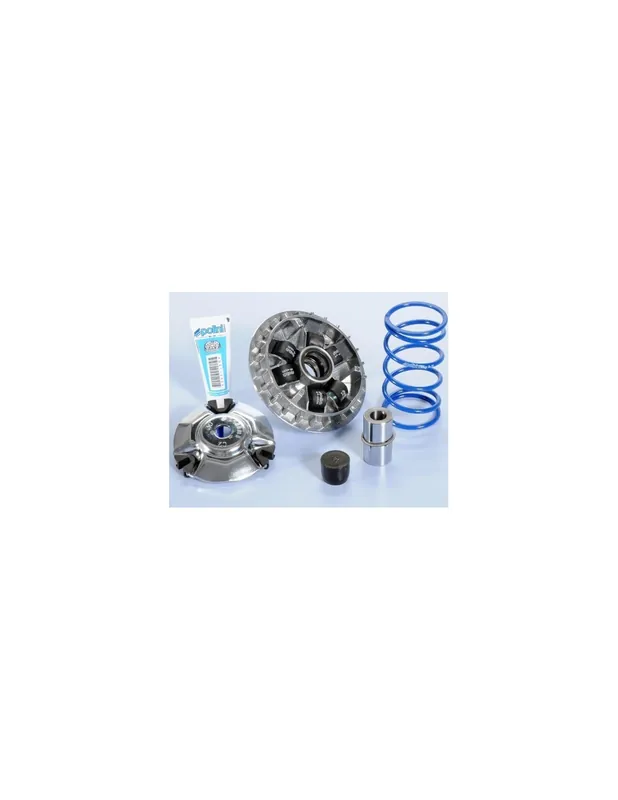 Acheter En Ligne Variateur Polini Hi-Speed Honda Forza 125 15-20 SHi 125 150i 13-19 PCX 125 18-20