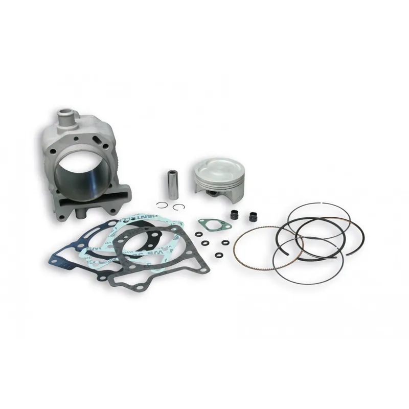 Vente Directe Cylindre Malossi Ø 75.5 mm Gilera Nexus 125 DNA 125 180 Runner ST VX VXR 125 180 200 4t