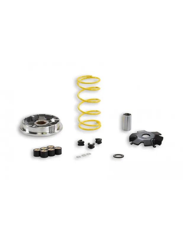Variateur Malossi Suzuki V Address 100 2T Certifié
