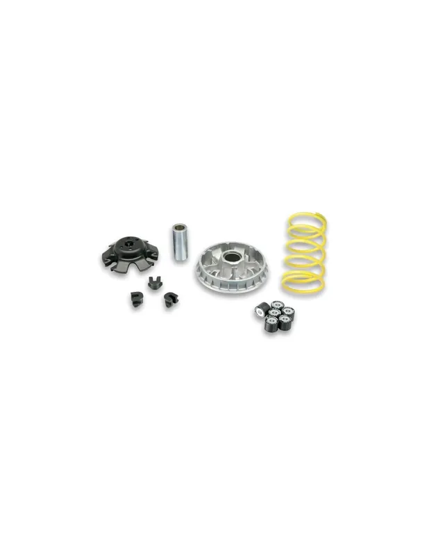 Variateur Malossi Piaggio Hexagon 250 Honda CN Helix 250 Miami 250 Dernier Modèle