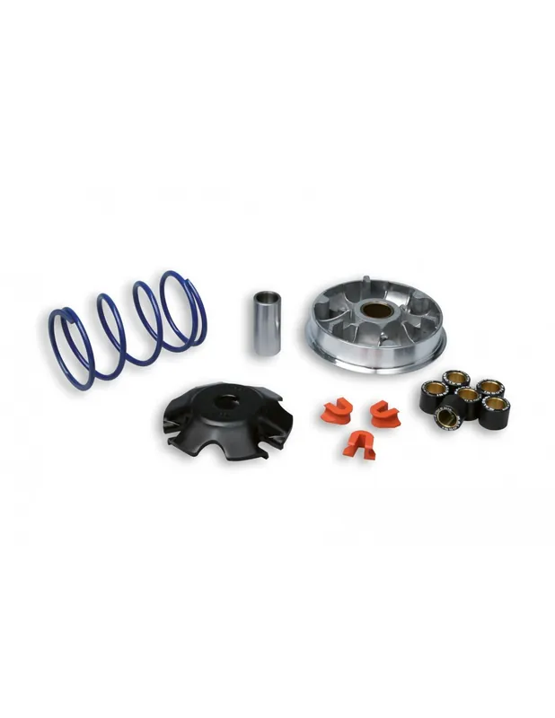 Acheter En Ligne Variateur Malossi Elyseo 100 Speedfight 100 Trekker 100 Vivacity 100 CATALYSE