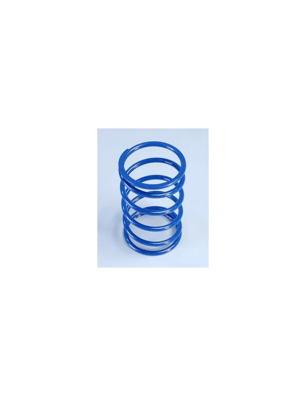 Acheter Direct Ressort de variateur Polini bleu Piaggio MP3 530 HPE euro-5 depuis 2022
