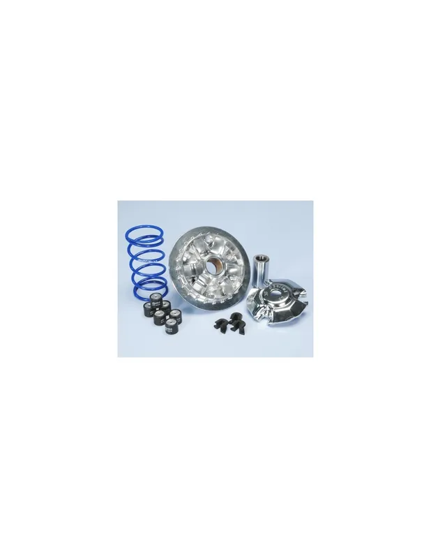 Variateur Polini Hi-Speed Yamaha Cygnus Gryphus 125 4t euro-4 depuis 2019 Must-Have