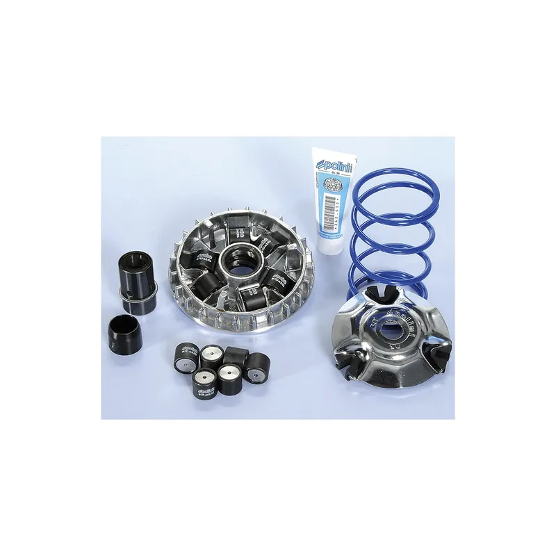 Variateur Polini Piaggio Liberty 125 2v 4t 02-15 Certifié