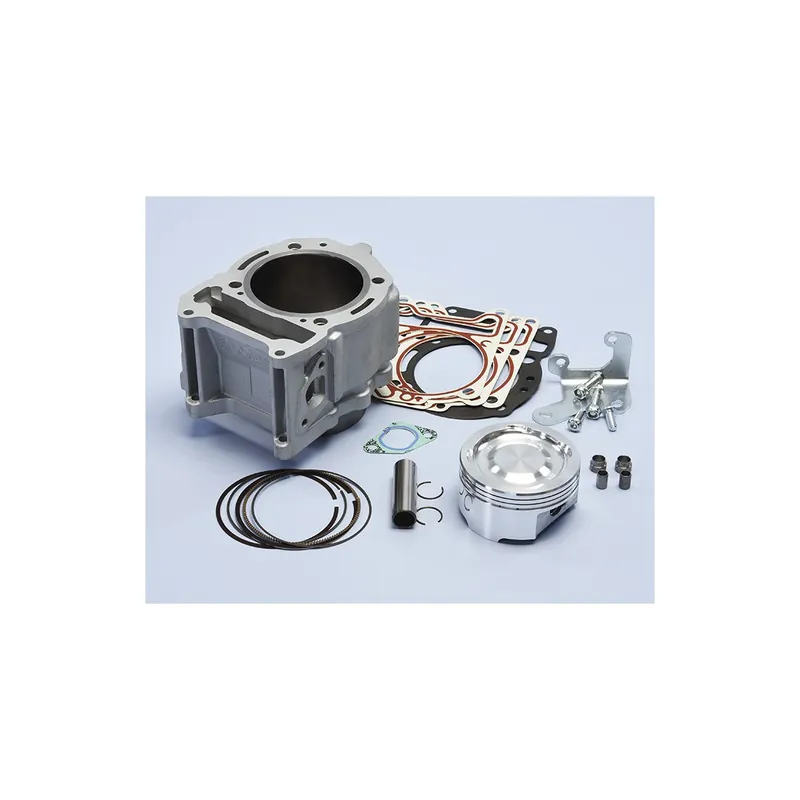 Remise Cylindre Polini 300 4T Ø 77 Piaggio MP3 300 / HPE MP3 Yourban 300 / ERL / LT / Business / RL / Sport / Touring