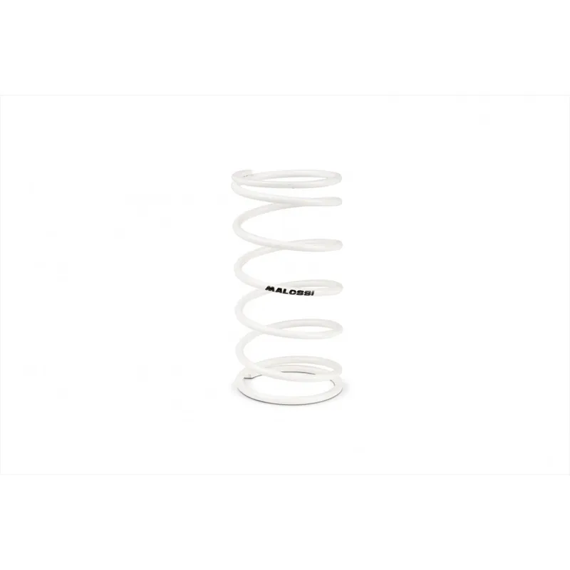 Ressort de contre variateur Malossi Piaggio Zip 50 2t/4t Zip SP 50 2t Acheter Direct