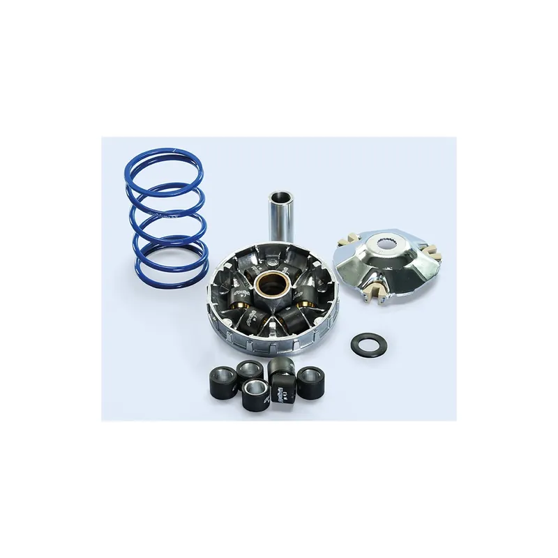Variateur Polini Hi Speed Piaggio Zip 50 4t 3v 18-24 Satisfait Ou Remboursé
