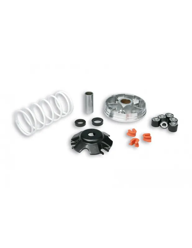 Variateur Malossi Multivar Zip 50 2t / Zip 50 2t SP Prix Cassé