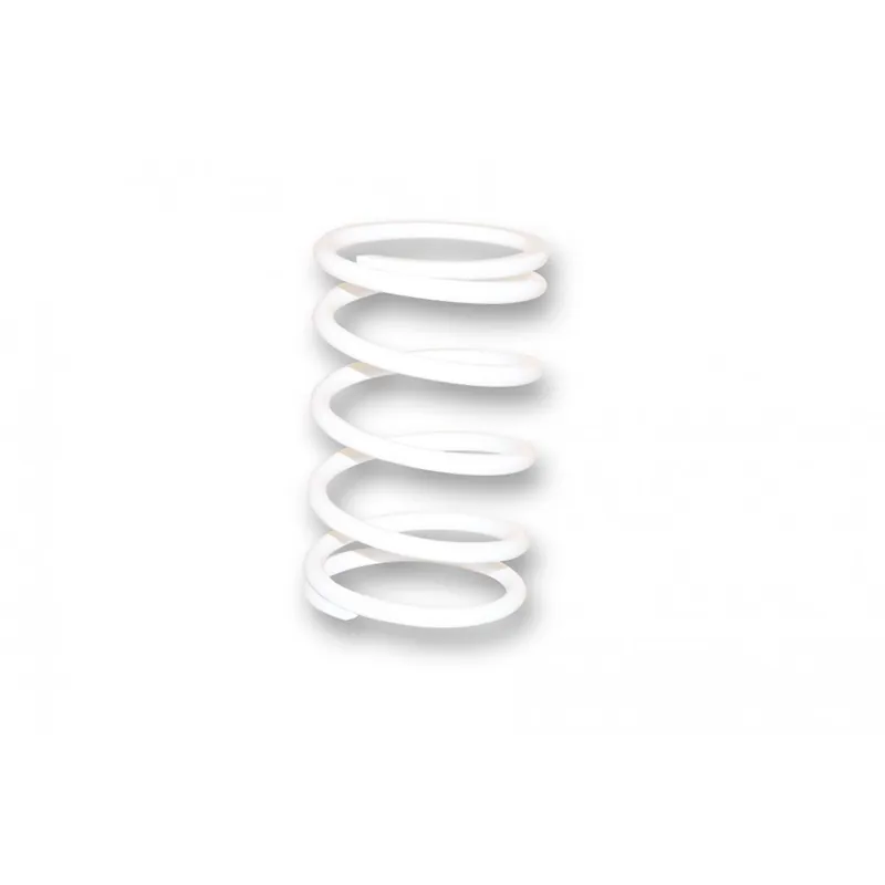 Ressort de variateur Malossi blanc Kawasaki J300 Prix Promo