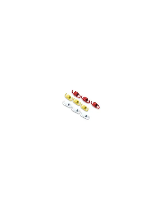 Promotion Ressorts d'embrayage Malossi Kymco People 125 Piaggio Vespa Primavera / Sprint 125 (pour embrayage d'origine)