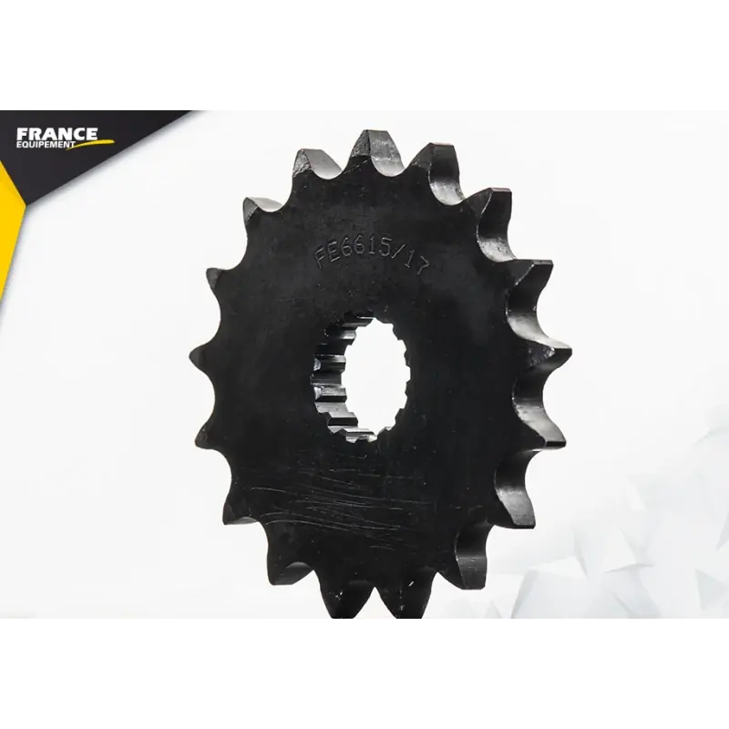 Promotion Saisonnière Pignon 17 dents pour chaine 428 – France Equipement 3983.E6615.17