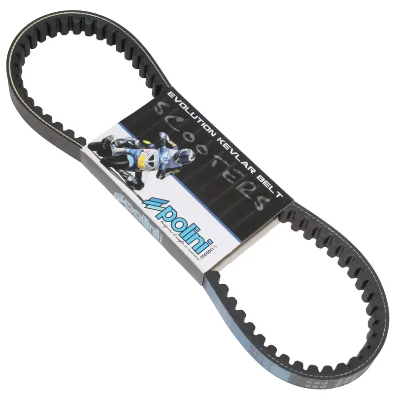 Expédié Aujourd'hui Courroie Peugeot Buxy Ludix Speedfight - Polini Evolution