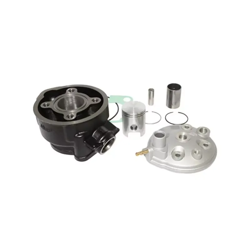 Kit Cylindre 50cc AM6 - POLINI Fonte 40.3mm Vente Directe