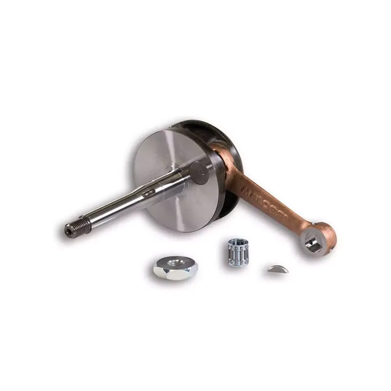 Achat Immédiat Vilebrequin Piaggio Ciao Bravo pour Carter MALOSSI MP-One Axe 12mm
